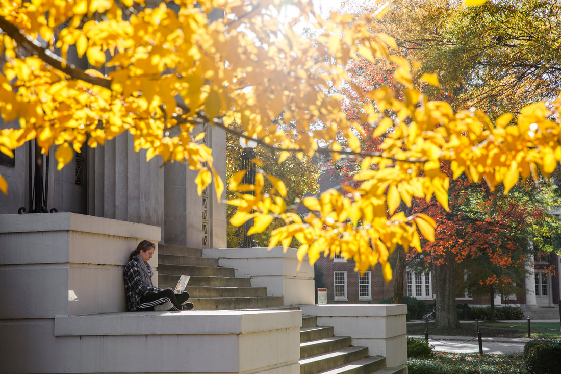 Student sitting in front of library
