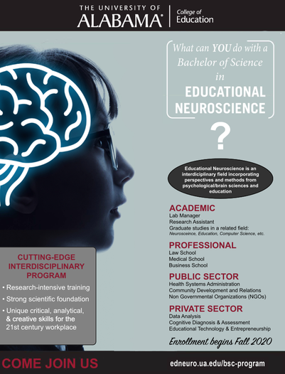 What can you do with a Bachelor of Science in Educational Neuroscience